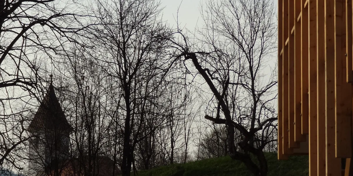 Hiša Š — fotografija 4