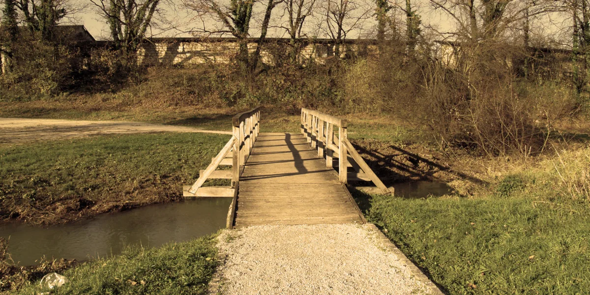 Pešpot Bršljin — fotografija 3